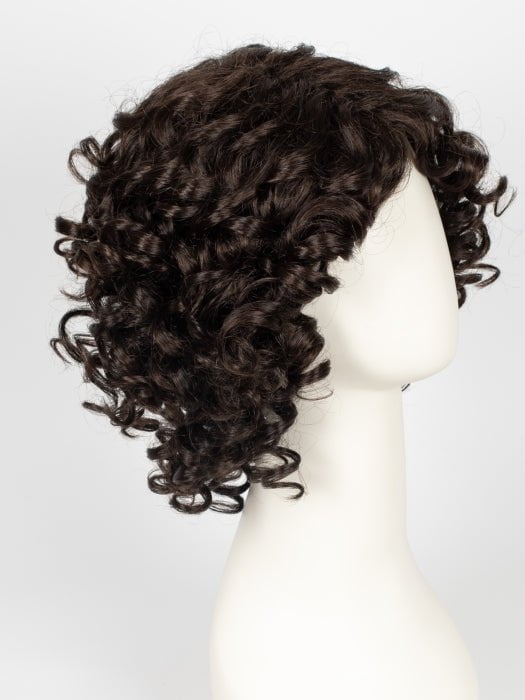 Jamila Plus | Synthetic Lace Front Wig (Basic Cap)