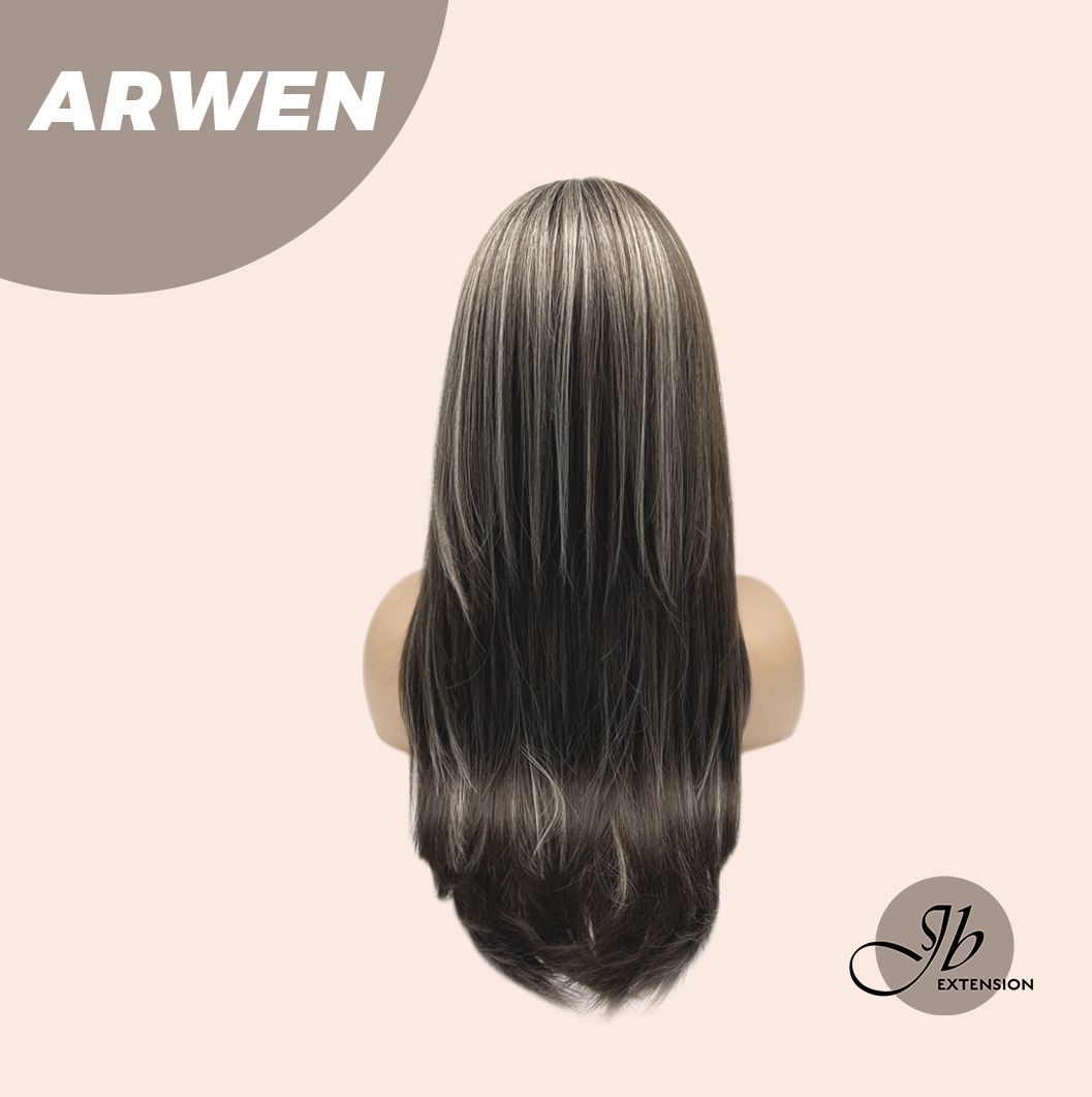 JBEXTENSION 24 Inches Dark Brown with Grey Highlight Wig ARWEN