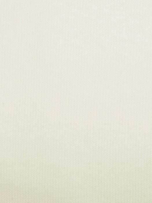 Cotton Wig Liner/Cap