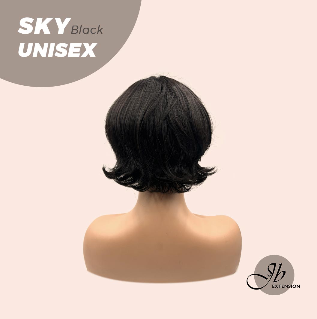 JBEXTENSION 8 Inches Black Curly Unisex Wig Man Wig SKY UNISEX BLACK