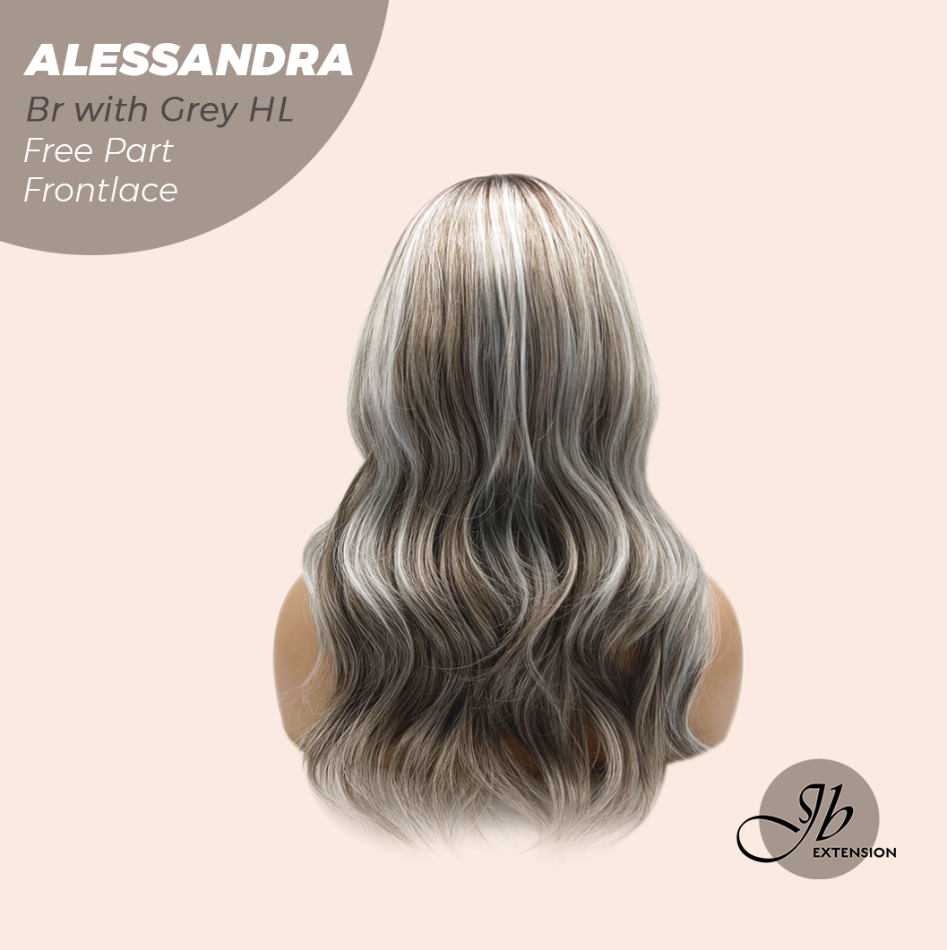 JBEXTENSION 20 Inches Brown with Grey Highlight Curly Fiber X, Tangle Less Pre-Cut Free Part Frontlae Glueless Wig ALESSANDRA GREY
