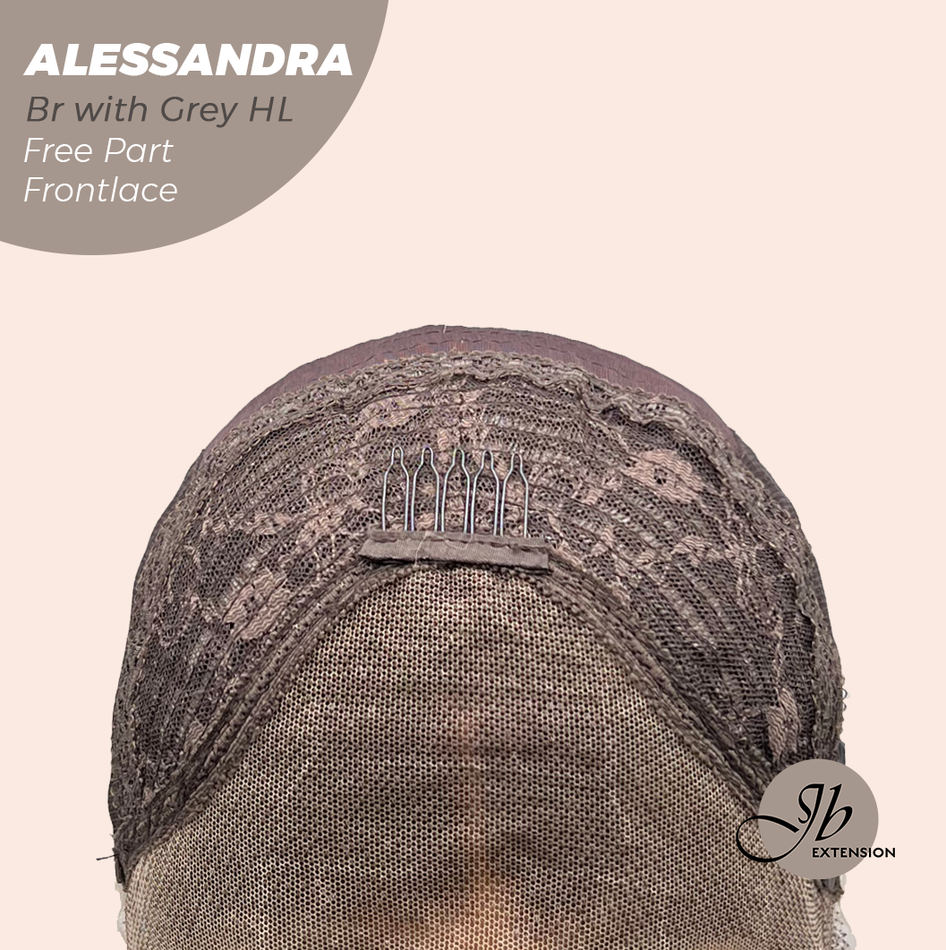 JBEXTENSION 20 Inches Brown with Grey Highlight Curly Fiber X, Tangle Less Pre-Cut Free Part Frontlae Glueless Wig ALESSANDRA GREY