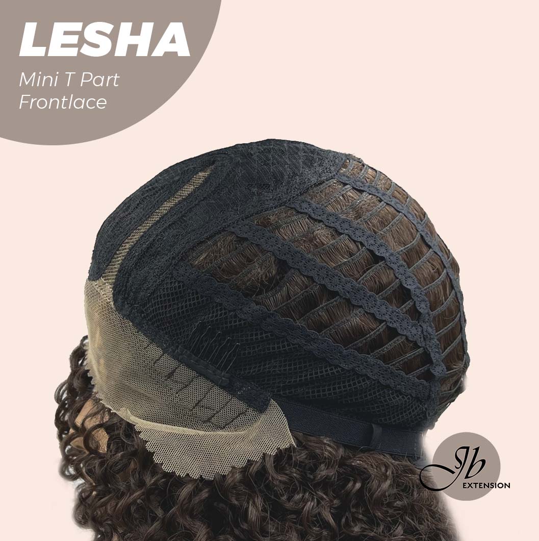 JBEXTENSION 12 Inches Deep Curly Brown Side Part Mini T Part Frontlace Glueless Wig LESHA