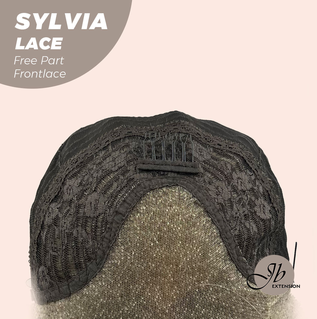 JBEXTENSION 20 Inches Dirty Blonde Curly Free Part Pre-Cut Frontlace Glueless Wig SYLVIA LACE